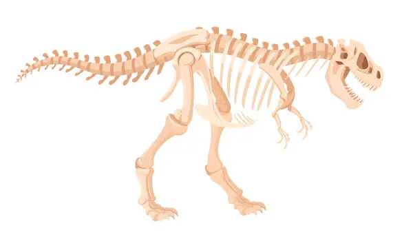 ディノスケルトン 漫画の考古学的な恐竜の化石の骨 ジュラシックチラノサウルスラプターフラットベクターイラスト 古代の化石の骨格 — ストックベクタ