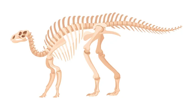 Çizgi Film Iguanodon Fosili Dinozor Iskeleti Jurasik Raptor Kemikleri Kadim — Stok Vektör