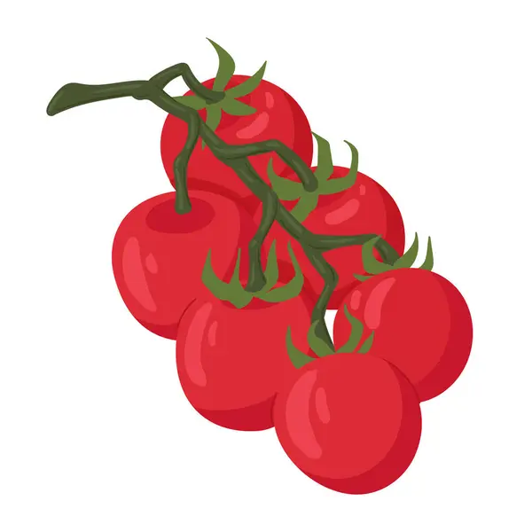 卡通番茄在树枝上 有机的红色蔬菜 美味的樱桃西红柿 白色背景上的平面矢量图解 — 图库矢量图片