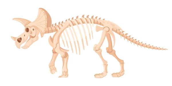 三角龙化石 卡通恐龙骨骼 侏罗纪猛禽骨骼 古代恐龙三脚架平面矢量图解 考古化石骨骼 — 图库矢量图片