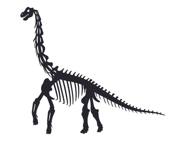 Karikatür Diplodocus Fosili Dinozor Iskeleti Eski Diplodocus Kemikleri Düz Vektör — Stok Vektör