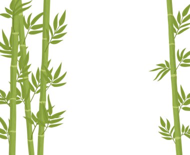 Bambu arka planı. Çizgi film Asya bambu orman bitkileri dalları ve yaprakları, Çin veya Japon flora düz vektör arkaplan çizimi. Yeşil bambu filizi deseni