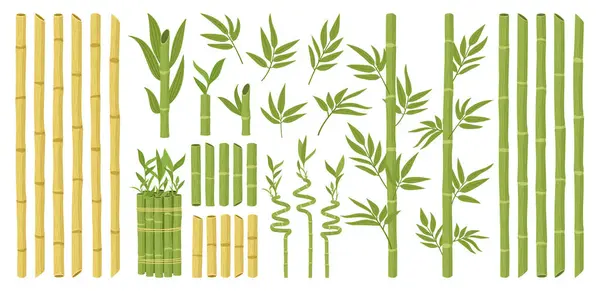 Bambú Dibujos Animados Planta Forestal Asiática Con Ramas Hojas Brotes — Archivo Imágenes Vectoriales