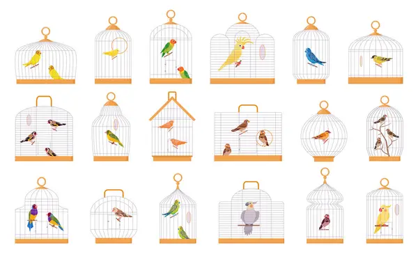 Cartoon Vogelkooien Exotische Vogels Ijzeren Draad Kooien Decoratieve Vogels Papegaai — Stockvector