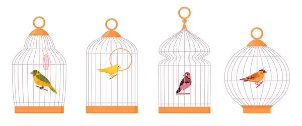 Vogelkäfige Cartoon Hausvögel Eisernen Käfigen Exotische Ziervögel Finken Und Kanarienvögel — Stockvektor