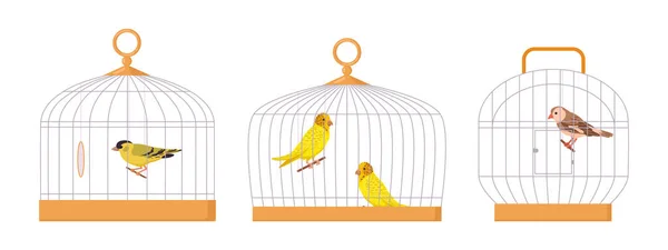 笼中的家养鸟 卡通鸟笼 可爱的花蕾和翅膀 异国情调的鸟笼中平面矢量插图集 笼中的装饰鸟类 — 图库矢量图片