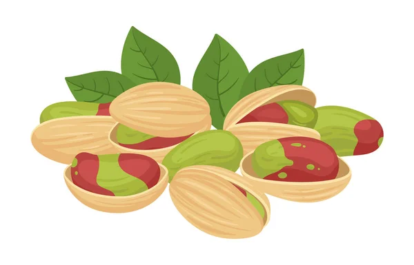 Raw Pistachio Nuts Tasty Pistachios Shell Vegetarian Diet Organic Snack — Stock Vector