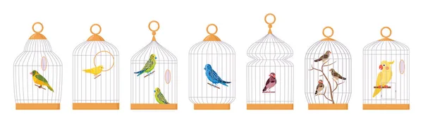 Oiseaux Décoratifs Cage Cages Oiseaux Exotiques Domestiques Perroquet Pinson Perruche — Image vectorielle