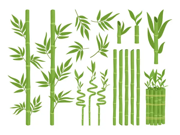 Set Bambú Asiático Brotes Bambú Verde Dibujos Animados Plantas Bosque — Archivo Imágenes Vectoriales