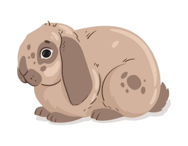 Tatlı tavşancık. Yumurta Paskalya Tavşanı, sevimli kulaklı tavşan, tüylü evcil tavşan düz vektör çizim seti. Beyaz üzerinde Paskalya bayramı tavşanları