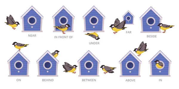 Vogelhuis Engelse Voorzetsels Vogels Positie Van Vogelhuis Boven Rond Boven — Stockvector