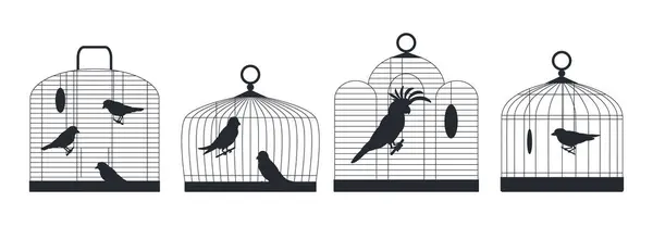 笼中的鸟儿 轮廓的轮廓 鸟笼里有家养鸟类 金丝雀 鹦鹉和嫩枝扁平的病媒图片集 鸟笼剪影系列 — 图库矢量图片