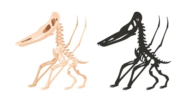 Cartoon Jurassic Reptile Silhouette Ancient Dino Skeleton Dinosaur Fossil Bones — Stock Vector