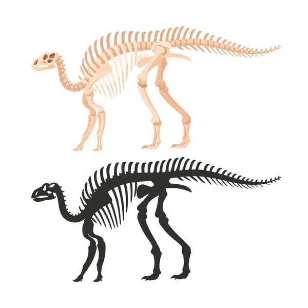 Siluetas Fósiles Iguanodon Esqueleto Dinosaurio Dibujos Animados Dinosaurio Ornitópodo Antiguo — Vector de stock