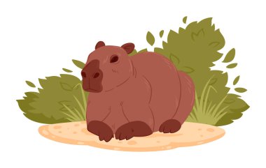 Cartoon cute capybara. Wild mammal in natural habitat, semi-aquatic capybara animal flat vector illustration. Relaxing capybara clipart