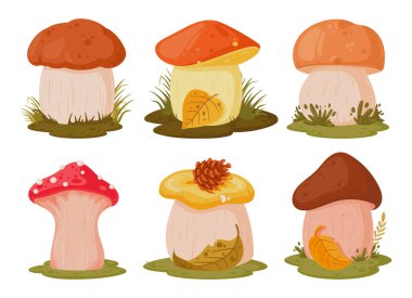Çizgi film mantarları. Mevsimlik mantar yiyeceği, sonbahar ormanı yenilebilir ve zehirli bitkiler düz vektör çizimi seti. Beyaz arkaplanda mantarlar