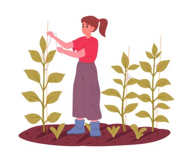 Kadınlar bitkilerle ilgilenir. Kadın çiftçi bitkiler ve sebzelerle çalışıyor. Düz vektör çizimi. Tarım çiftliği çalışma sahnesi