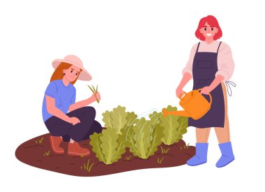 Kadınlar bitkilerle ilgilenir. Dişi çiftçiler bitki ve sebzelerle, ot ve sulama bitkileriyle düz vektör illüstrasyonuyla çalışırlar. Tarım çiftliği çalışma sahnesi