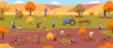 Tarım arazisi hasadı. Kırsal tarım işçileri hasat topluyor ve hasat, tarım, hasat, düz vektör çizimi yapıyor. İnsanlar çiftlikte çalışıyor.