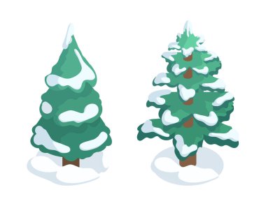 Isometric Noel ağaçları. Xmas yeşil köknar ağaçları karla kaplı düz vektör çizim seti. Kış tatili köknar ağaçları