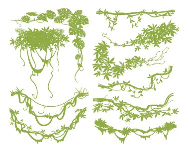 Çizgi film Liana Sürüngenleri dalları. Tropikal liana bitkilerine yosun, yağmur ormanı flora düz vektör çizimi ile tırmanmak. Orman sarmaşıkları beyaz üzerine