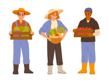 Hasat yapan insanlar. Taze meyve ve sebze dolu sepet ve kutular taşıyan çiftçiler düz vektör çizim seti. Ekin hasat eden çizgi film işçileri.