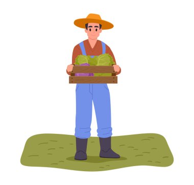 Hasatlı adam. Taze sebzeli kutu taşıyan çiftçi, lahana hasadı düz vektör resimli erkek karakter. Ekin hasat eden çizgi film işçisi.