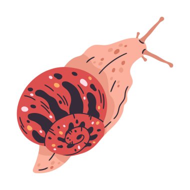 Bahçe salyangozu. Çizgi film yavaş gastropod, sarmal salyangoz kabuğunun içindeki küçük yumuşakça düz vektör çizimi. Beyaz üzerine renkli salyangoz