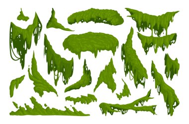 Orman yosunu. Asılı ve sürünen liken ve yosun, yeşil yosun bitkileri düz vektör çizim seti. Karikatür yağmurlu orman florası beyaz üzerine