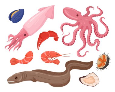 Çiğ deniz ürünleri çizgi filmi. Çiğ ahtapot, istiridye ve midye, lezzetli okyanus ürünleri düz çizim seti. Renkli Akdeniz diyet yemekleri