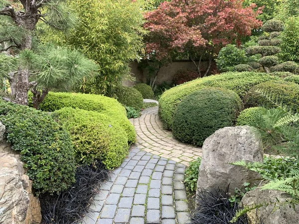 Oyulmuş asfalt ve geleneksel doğu bitkileriyle doğu manzarası: kutucuk ağacı, beyaz sedir, porsuk, Japon akçaağacı, kutsal bambu ağacı