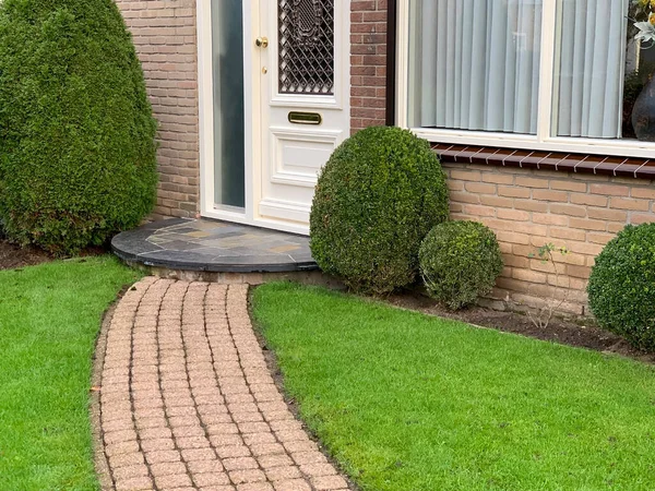 Girişteki güzel yeşil çimenler. Bahçe yolu ve budanmış boxwoods 