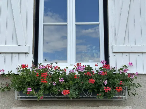 Ventana Con Pelargonio Floreciente Francia Borgoña Autun — Foto de Stock