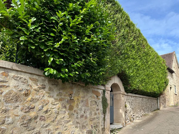 Stone fence with a hedge of yew and common laurel. Garden gate with massive arch and walls. Garden-French style. Autun, Burgundy, France