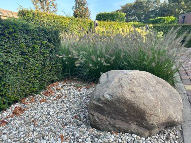 Evin duvarının yanında taş patika var. Bahçeyi siyah, ezilmiş taşlarla süslüyor.