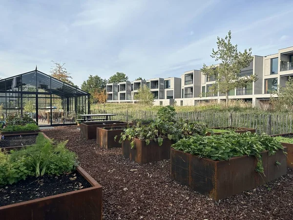 Silvolde 'da (Hollanda) bir yerleşim yeri olan ekolojik olarak temiz bir alanda sera ve sebze bahçesi. Çelik konteynırlarda kaldırılmış yataklar. Konut alanı eski bir fabrikanın sahasına inşa edildi. 