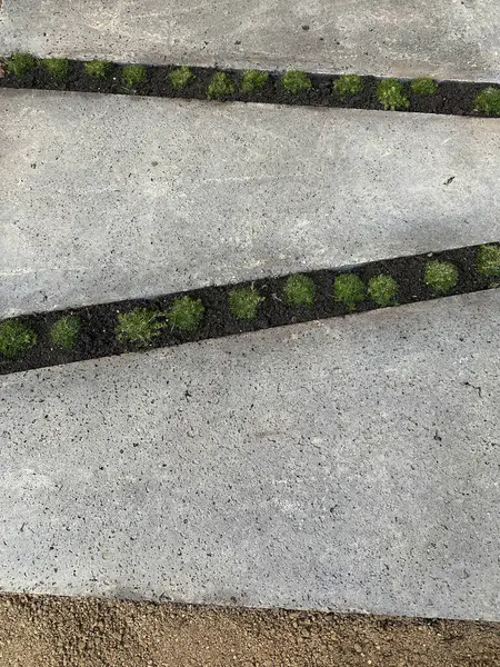 Sidewalk floor texture background for abstract design. Modern garden path