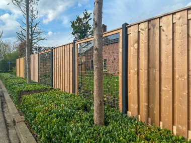 Tahta beton çit. Ahşap ve ağ kombinasyonu. Sarmaşıklı bahçe ekranları (Hedera Helix). Hollanda 'da. Gelderland