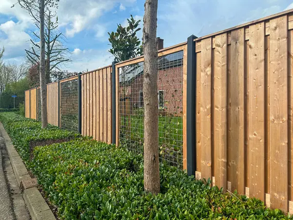 Tahta beton çit. Ahşap ve ağ kombinasyonu. Sarmaşıklı bahçe ekranları (Hedera Helix). Hollanda 'da. Gelderland