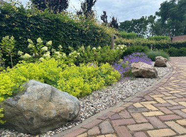 Kayalarla peyzaj yapmak. Çiçekli Geranium himalayense, Hydrangea makrophylla, Alchemilla mollis ve çakıl taşlı kayalar.