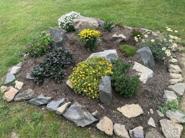 Bahçede taş ocağı. Taşlı çiçek yatağı ve manzara tasarımlı çiçekler. Langourla, Le-Mene (Brittany, Fransa)