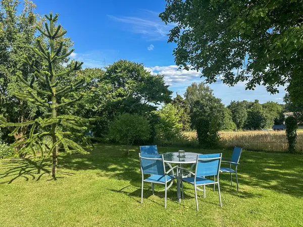 stock image Summer garden landscape in France. Light blue chairs and a glass table on the green lawn. Evergreen tree Araucaria araucana known as the monkey puzzle tree