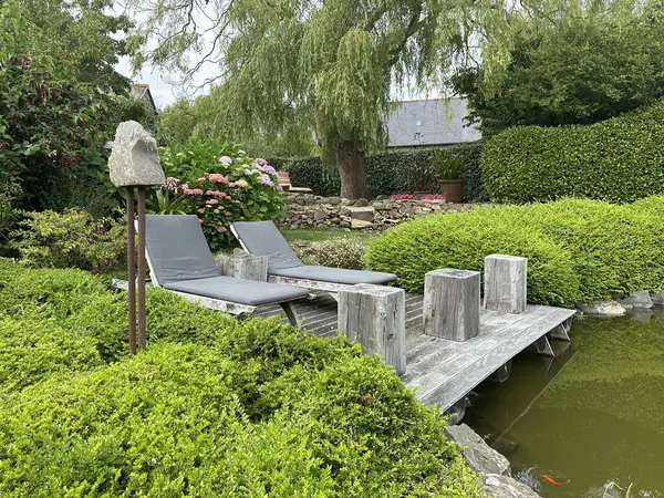 Göletin kenarındaki ahşap güvertede güneşleniyorlar. Yeşillik ve çiçek açan bitkiler.