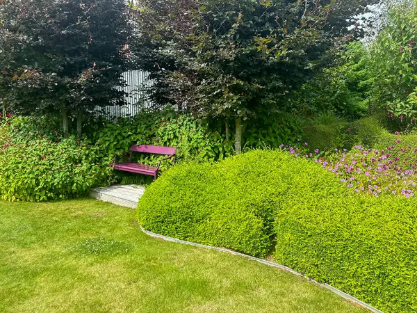 Bahçe tezgahı ahşap güvertede. Etrafı yemyeşil bir çit ve düzgün çimlerle çevrili. Çiçek açan ölümsüzler ve Persicaria amplexicaulis renk katıyor. Kerfouler Bahçeleri, Fransa