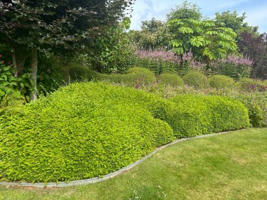 Yeşil çitleri ve parlak mor çiçekleri olan güzel bir bahçe. Huzurlu ve bakımlı bir yer. Rahatlamak ve doğal güzellikten zevk almak için mükemmel. Kerfouler Bahçeleri, Fransa