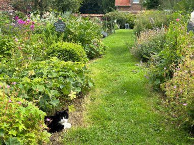 A serene garden path with a black-and-white cat resting among lush flower beds. The sign reads, Here everything grows, calm and pleasure, harmony and friendship. Gardens Jardin du Rossignol. France clipart