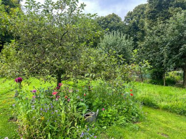 Gelincikli çiçek yatağı ve elma ağacının etrafında bir sulama kabı. Çayırlık çiçeklerin renk kattığı düşük bakım gerektiren bir tasarım. Jardin du Rossignol, Fransa