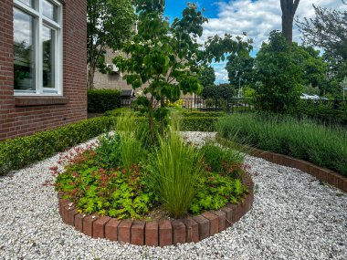 Tuğla kenarlı çiçek tarhı. Japon Dogwood (Cornus kousa), süs otları ve Sedum, Geranium ve Stipa gibi daimi varlıklar beyaz çakıllarda yetişir. İyi bakılmış ön bahçe. Gaanderen, Hollanda
