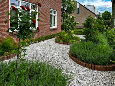 Açık gri çakıllı ön bahçe. Lavantalı, otlu ve tuğla kenarlı çiçek yatakları düzgün ve yapılandırılmış bir tasarım oluşturur. Çiçek açan kırmızı bir gül çalısı bu Hollanda düzenine canlı bir dokunuş ekler. Gaanderen. Hollanda