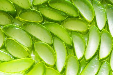 Aloe vera dilimlenmiş üst görünüm dokusu arka planı. yeşil aloe vera dilim arkaplanı.